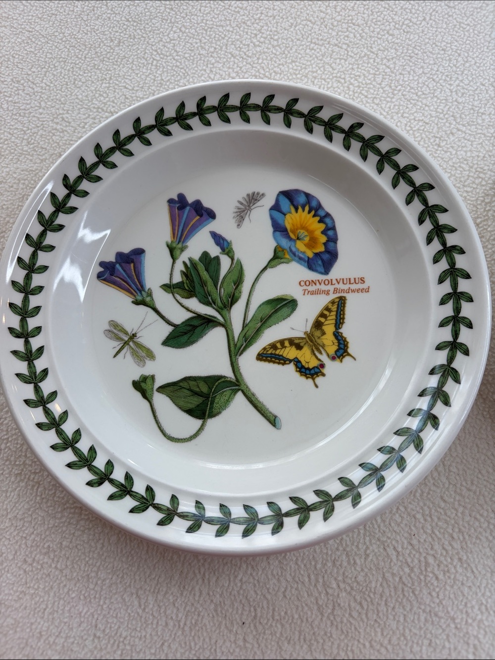 Portmeirion Botanic Garden 2 salad plate 7.25”